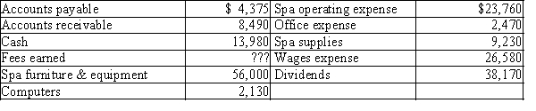 The assets and liabilities of Rocky's Day Spa at December 31 and expenses for the year are listed below. The stockholders' equity was $68,000 ($48,000 in Common Stock and $20,000 in Retained Earnings) at January 1. The shareholders invested in an additional $10,000 of common stock during the year. Net income for the year is $45,625.   Prepare an income statement for Rocky's Day Spa for the current year ended December 31.