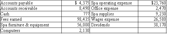 The assets and liabilities of Rocky's Day Spa at December 31 and expenses for the year are listed below. The stockholders' equity was $68,000 ($48,000 in Common Stock and $20,000 in Retained Earnings) at January 1. The shareholders invested in an additional $10,000 of common stock during the year. Net income for the year is $45,625.   Prepare a balance sheet for Rocky's Day Spa for the year ended December 31.