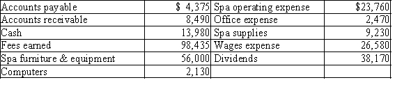 The assets and liabilities of Rocky's Day Spa at December 31 and expenses for the year are listed below. The stockholders' equity was $68,000 ($48,000 in Common Stock and $20,000 in Retained Earnings) at January 1. The shareholders invested in an additional $10,000 of common stock during the year. Net income for the year is $45,625.   Prepare a statement of stockholder's equity for Rocky's Day Spa for the current year ended December 31.