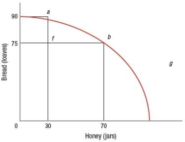 (Figure: Bread and Honey)  Which point in the graph represents unemployed resources?   A)  a B)  b C)  f D)  g