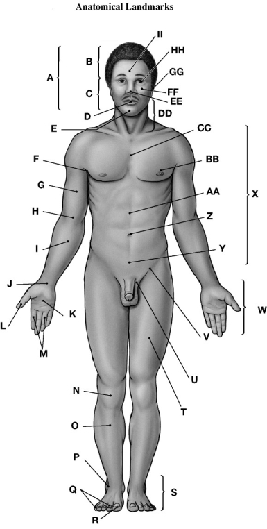   Using the figure above, identify the labeled part. -Label K: ________