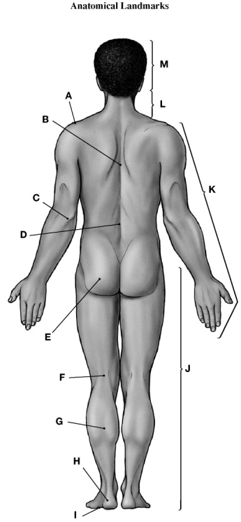   Using the figure above, identify the labeled part. -Label E: ________