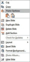   The object shown in the figure above is a ________. A)  gallery B)  contextual tab C)  shortcut menu D)  Quick Access Toolbar