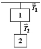 Exhibit 5-2 A 4.00 kg block is suspended from the roof of an elevator. A 2.00 kg block is suspended from the 4.00 kg block. The tensions in strings 1 and 2 are labeled   and   .   Use this exhibit to answer the following question(s) . -Refer to Exhibit 5-2. When the elevator accelerates upwards with an acceleration of 2.20 m/s<sup>2</sup>, the magnitudes of   and   are A)  30.4 N; 15.2 N. B)  39.2 N; 19.6 N. C)  45.6 N; 15.2 N. D)  48.0 N; 24.0 N. E)  72.0 N; 24.0 N.