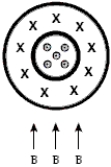 A coaxial cable has an inner cylindrical conductor surrounded by cylindrical insulation and an outer cylindrical conducting shell. The outer shell carries the same current but in the opposite direction from that in the inner conductor as shown. If the coaxial cable sits in a uniform magnetic field directed upwards with respect to the cable, the effect of the field on the cable is   A)  a net force to the left. B)  a net force to the right. C)  a net force upwards. D)  no net force but a slight shift of the inner conductor to the left and the outer conductor to the right. E)  no net force but a slight shift of the inner conductor to the right and the outer conductor to the left.