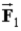 Two charged particles, Q<sub>1</sub> and Q<sub>2</sub>, are a distance r apart with Q<sub>2</sub> = 5Q<sub>1</sub>. Compare the forces they exert on one another when   is the force Q<sub>2</sub> exerts on Q<sub>1</sub> and   is the force Q<sub>1</sub> exerts on Q<sub>2</sub>. A)    = 5   . B)    = −5   . C)    =   . D)    = −   . E)  5   =   .