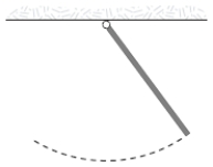 A uniform rod (mass m = 1.0 kg and length L = 2.0 m)  pivoted at one end oscillates in a vertical plane as shown below. The period of oscillation (in s)  is approximately   A)  4.0 B)  1.6 C)  3.2 D)  2.3 E)  2.0