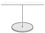 A torsional pendulum consists of a solid disk (mass = 2.0 kg, radius = 1.0 m)  suspended by a wire attached to a rigid support. The body oscillates about the support wire. If the torsion constant is 16 N⋅m/rad. What is the angular frequency (in rad/s) ?   A)  2 B)  4 C)  6 D)  8 E)  7