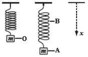 A weight of mass m is at rest at O when suspended from a spring, as shown. When it is pulled down and released, it oscillates between positions A and B. Which statement about the system consisting of the spring and the mass is correct?   A)  The gravitational potential energy of the system is greatest at A. B)  The elastic potential energy of the system is greatest at O. C)  The rate of change of momentum has its greatest magnitude at A and B. D)  The rate of change of gravitational potential energy is smallest at O. E)  The rate of change of gravitational potential energy has its greatest magnitude at A and B.