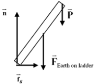Sebastian has drawn a free-body diagram for a ladder of mass m leaning against a frictionless wall. His diagram is shown below. What is his error?   A)    is in the wrong direction. B)    should be directed upwards, not down. C)    should be perpendicular to the wall, not parallel to it. D)    should be down into the floor for   to have the given direction. E)    is correct, but there should also be a force perpendicular to the wall.