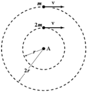 Two objects of mass m<sub>1</sub> = 2m and m<sub>2</sub> = m move around a rotation axis A in parallel circles of radii r<sub>1</sub> = r and r<sub>2</sub> = 2r with equal tangential speeds. As they rotate, forces of equal magnitude are applied opposite to their velocities to stop them. Which statement is correct?   A)  m<sub>2</sub> will stop first because it has the larger initial angular velocity. B)  m<sub>1</sub> will stop first because it has the smaller radius. C)  m<sub>2</sub> will stop first because the torque on it is greater. D)  m<sub>1</sub> will stop first because it has the smaller moment of inertia. E)  Both objects will stop at the same time because the angular accelerations are equal.