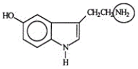 Serotonin transmits nerve impulses through the body. Identify the functional group circled.   A) Aldehyde B) Alcohol C) Amide D) Amine E) Nitride