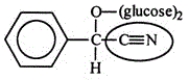 Amygdalin (Laetrile)  was once touted for its potential anticancer activity. However, the claims were never scientifically verified. Identify the functional group circled.   A) Carbonite B) Ether C) Amide D) Amine E) Nitrile