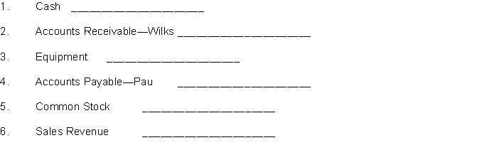 Indicate whether each of the following accounts would be in the general ledger or subsidiary ledger.  