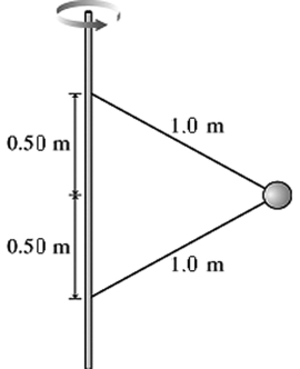 Uniform circular motion: The figure shows two wires that are tied to a 710 g mass that revolves in a horizontal circle at a constant speed of 7.5 m/s. What is the tension in the upper wire?   A)  34 N B)  20 N C)  27 N D)  41 N