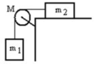 A mass m<sub>1</sub> is connected by a light string that passes over a pulley of mass M to a mass m<sub>2</sub> sliding on a frictionless horizontal surface as shown in the figure. There is no slippage between the string and the pulley. The pulley has a radius of 25.0 cm and a moment of inertia of ½ MR<sup>2</sup>. If m<sub>1</sub> is 4.00 kg, m<sub>2</sub> is 4.00 kg, and M is 4.00 kg, then what is the tension in the string attached to m<sub>1</sub>?   A)  35.6 N B)  32.7 N C)  31.0 N D)  29.0 N E)  23.5 N