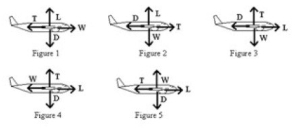 <strong>An airplane is traveling in level flight at a constant velocity. L is the lift, W is the weight, T is the thrust, and D is the drag. Which of the diagrams is the correct free-body force diagram for the airplane? </strong> A) Figure 1 B) Figure 2 C) Figure 3 D) Figure 4 E) Figure 5