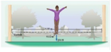<strong>Diane (weight 255 N) is practicing on a tightrope that is 6.00 meters long (when unstretched) and sags by 0.120 meters under her weight. When she is in the middle of the rope, what is the force (due to the rope) on each eyebolt holding the tightrope? </strong> A) 1.62 × 10<sup>3</sup> N B) 3.19 × 10<sup>3</sup> N C) 6.38 × 10<sup>3</sup> N D) 4.99 × 10<sup>3</sup> N