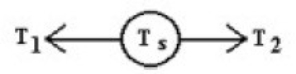 A rope is connected to a spring scale on the left and exerts a force T<sub>1</sub>. Another rope is connected to the scale on the right and exerts a force T<sub>2.</sub> The scale shows a reading of T<sub>s </sub>= 120 N. The values of T<sub>1</sub> and T<sub>2</sub> are   A)  T<sub>1</sub> = 80 N, and T<sub>2</sub> = 80 N. B)  T<sub>1</sub> = 120 N, and T<sub>2</sub> = 120 N. C)  T<sub>1</sub> = 240 N, and T<sub>2</sub> = 240 N. D)  T<sub>1</sub> = 80 N, and T<sub>2</sub> = 120 N.