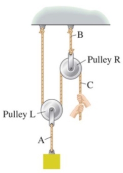 A worker lifts a heavy load using a two-pulley system as in the figure. If the tension in the rope segment labeled A is 1450 N, what are the weight of the load and the force that the worker exerts on the rope, respectively?   A)  363 N, 725 N B)  725 N, 363 N C)  1450 N, 725 N D)  1450 N, 1450 N E)  Insufficient information is given to answer this question.