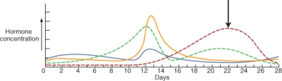 The image below indicates the changes in concentration of female reproductive hormones over the course of a 28 day cycle. Identify the hormone that is indicated by the arrow.   A)  follicle-stimulating hormone B)  progesterone C)  gonadotropin-releasing hormone D)  estrogens E)  luteinizing hormone