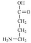 Which of the amino acids is a building block for proteins? A)    B)    C)    D)    E)   