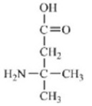 Which of the amino acids is a building block for proteins? A)    B)    C)    D)    E)   