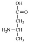 Which of the amino acids is a building block for proteins? A)    B)    C)    D)    E)   