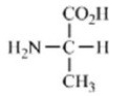 Which of the amino acids contains an acidic side chain? A)    B)    C)    D)    E)   