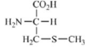 Which of the amino acids contains an acidic side chain? A)    B)    C)    D)    E)   