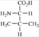Which of the amino acids contains a basic side chain? A)    B)    C)    D)    E)   