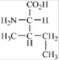Which of the amino acids contains a basic side chain? A)    B)    C)    D)    E)   