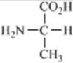Which of the amino acids contains a basic side chain? A)    B)    C)    D)    E)   