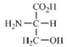 Which amino acid contains a polar side chain? A)    B)    C)    D)    E)   