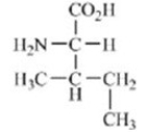 Which amino acid contains a polar side chain? A)    B)    C)    D)    E)   