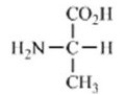 Which amino acid contains a polar side chain? A)    B)    C)    D)    E)   