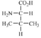 Which amino acid contains a polar side chain? A)    B)    C)    D)    E)   