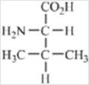 Which amino acid contains a nonpolar side chain? A)    B)    C)    D)    E)   