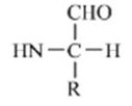 Which of these forms represents how an amino acid exists under physiological conditions? A)    B)    C)    D)    E)   