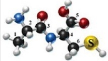 The following molecule is formed by two amino acids:   Identify the alpha carbons using the numbers as shown. A) 2, 4 B) 1, 6 C) 2, 3 D) 2, 6