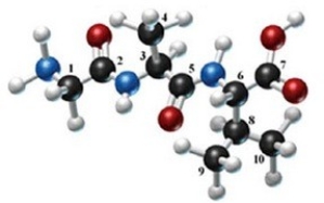 The following molecule is formed by three amino acids:   Identify the alpha carbons using the numbers as shown. A) 1, 2 B) 3, 5, 8 C) 1, 3, 5 D) 2, 3, 8 E) 1, 3, 6
