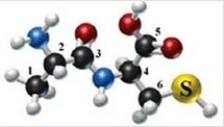 The following molecule is formed by two amino acids:   Identify the alpha carbons (using the numbers as shown) and the side chains for each amino acid in the molecule. A) 2, 4; CH<sub>3</sub>, CH<sub>2</sub>SH B) 1, 6; CHNH<sub>2</sub>, SH C) 2, 3; CH<sub>3</sub>, CO D) 2, 4; NH<sub>2</sub>, CO<sub>2</sub>H E) 2, 6; CH<sub>3</sub>, SH