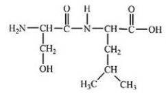 How many different amino acids are obtained by hydrolyzing all the peptide bonds in the following polypeptide?   A) 1 B) 2 C) 3 D) 4 E) 5