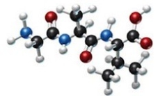 Which amino acids are obtained by hydrolyzing all the peptide bonds in the following polypeptide?   A)    B)    C)    D)    E)   