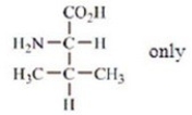Which amino acids are obtained by hydrolyzing all the peptide bonds in the following polypeptide?   A)    B)    C)    D)    E)   
