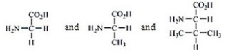 Which amino acids are obtained by hydrolyzing all the peptide bonds in the following polypeptide?   A)    B)    C)    D)    E)   