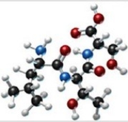 Which amino acids are obtained by hydrolyzing all the peptide bonds in the following polypeptide?   A)    B)    C)    D)    E)   