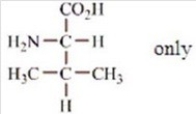 Which amino acids are obtained by hydrolyzing all the peptide bonds in the following polypeptide?   A)    B)    C)    D)    E)   