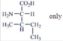 Which amino acids are obtained by hydrolyzing all the peptide bonds in the following polypeptide?   A)    B)    C)    D)    E)   