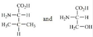 Which amino acids are obtained by hydrolyzing all the peptide bonds in the following polypeptide?   A)    B)    C)    D)    E)   